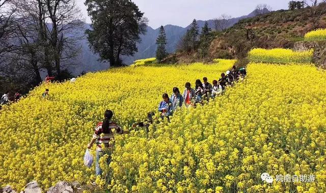 皖南免票攻略，自駕原生態白際、峽谷戲水、霧裡坡山3日游路書