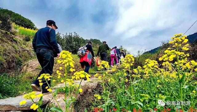 皖南免票攻略，自駕原生態白際、峽谷戲水、霧裡坡山3日游路書