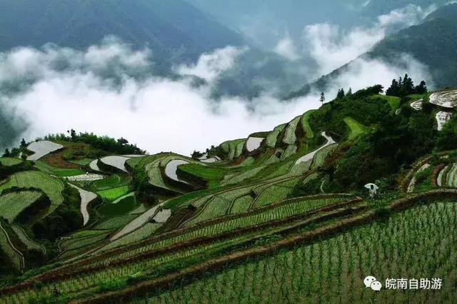 皖南免票攻略，自駕原生態白際、峽谷戲水、霧裡坡山3日游路書
