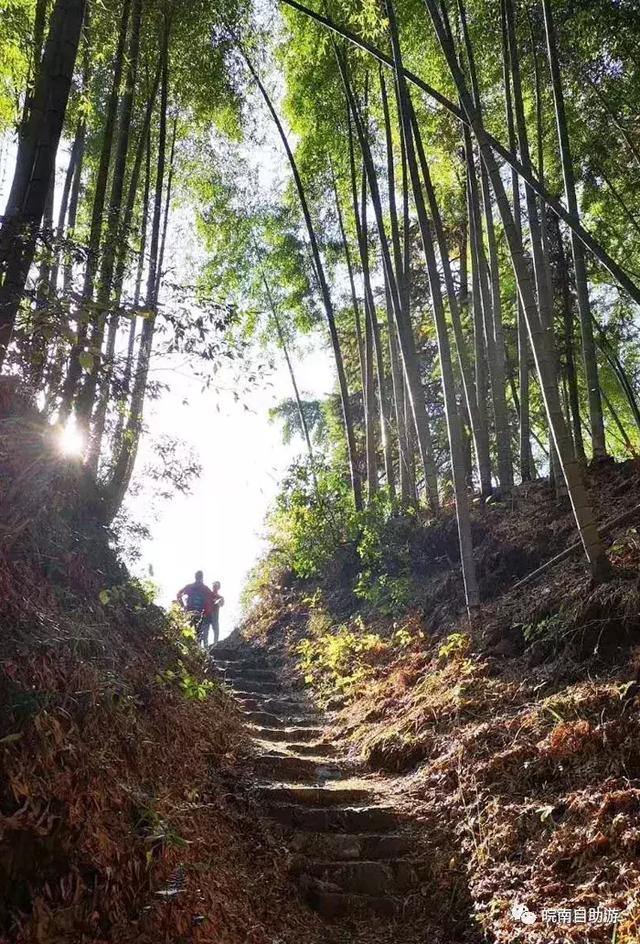 皖南免票攻略，自駕原生態白際、峽谷戲水、霧裡坡山3日游路書