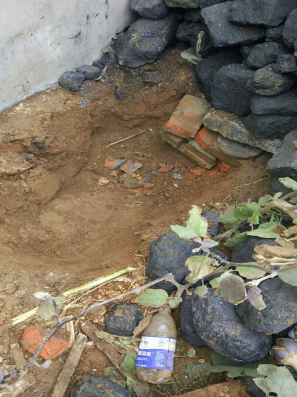 司機停車時聽到地下傳來狗叫聲，消防員挖地三尺終於將牠救出