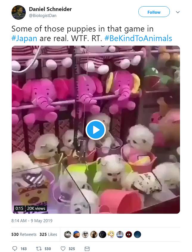 活生生的狗當獎品！　殘忍夾娃娃機遭眾人撻伐