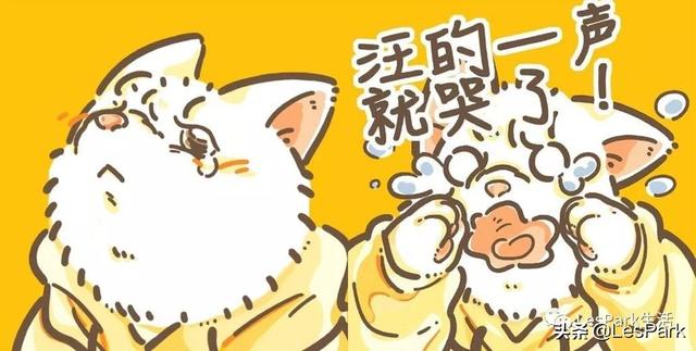 這兩種類型的女朋友，你更偏好哪一個？