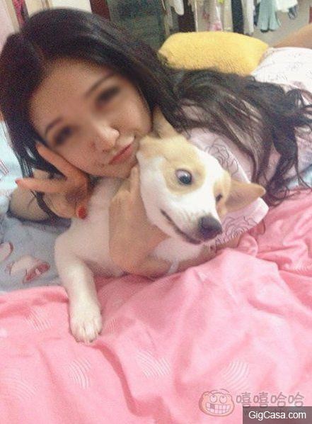 30張足夠讓你笑噴一整天的奇葩內涵大圖集