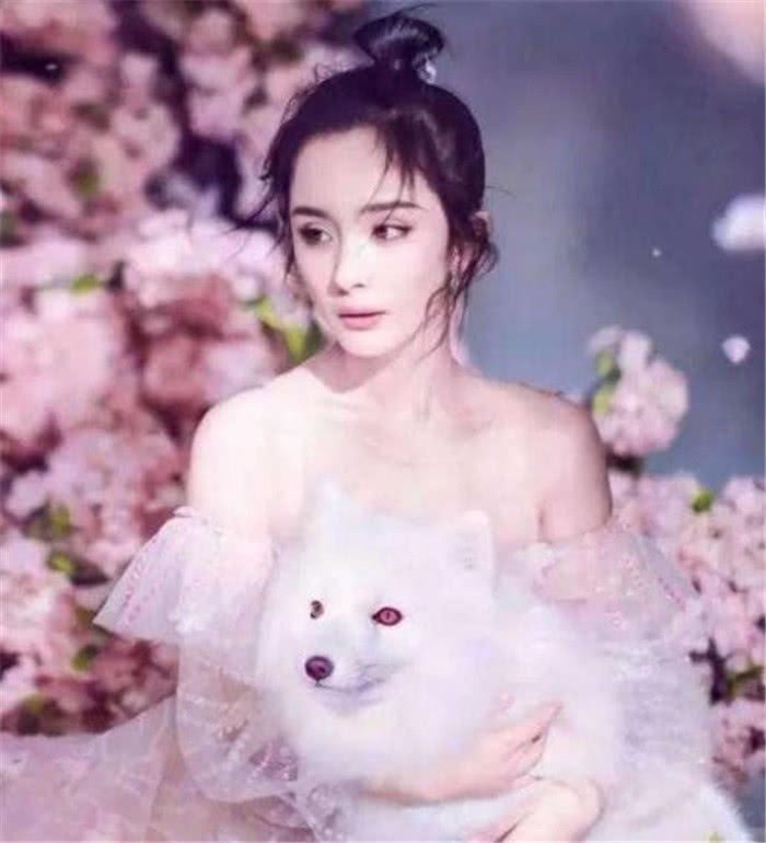 楊冪為什麼會離婚？看完這五張照片，網友：你就會明白了！ 