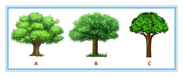 心理測試：三棵大樹哪顆最茂盛？測出你的美麗屬於多少歲
