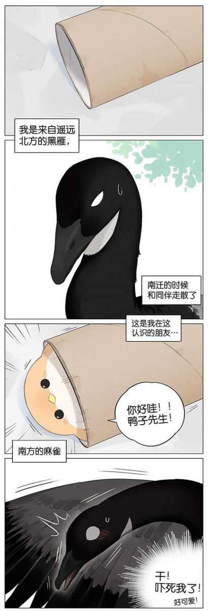 當北方的黑雁遇上南方的麻雀　「讓心融化的」超萌漫畫誕生！竟然因為鳥類心動了～