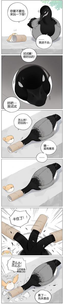 當北方的黑雁遇上南方的麻雀　「讓心融化的」超萌漫畫誕生！竟然因為鳥類心動了～