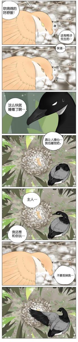 當北方的黑雁遇上南方的麻雀　「讓心融化的」超萌漫畫誕生！竟然因為鳥類心動了～