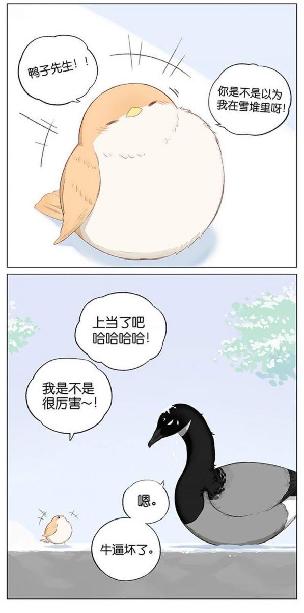 當北方的黑雁遇上南方的麻雀　「讓心融化的」超萌漫畫誕生！竟然因為鳥類心動了～