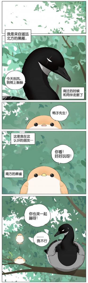 當北方的黑雁遇上南方的麻雀　「讓心融化的」超萌漫畫誕生！竟然因為鳥類心動了～