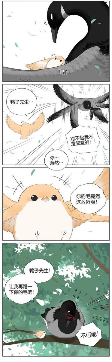 當北方的黑雁遇上南方的麻雀　「讓心融化的」超萌漫畫誕生！竟然因為鳥類心動了～