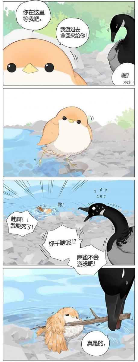 當北方的黑雁遇上南方的麻雀　「讓心融化的」超萌漫畫誕生！竟然因為鳥類心動了～