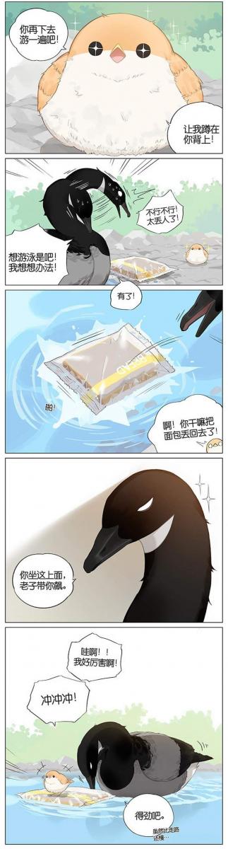 當北方的黑雁遇上南方的麻雀　「讓心融化的」超萌漫畫誕生！竟然因為鳥類心動了～