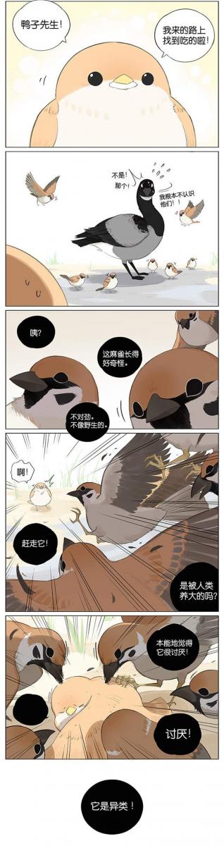 當北方的黑雁遇上南方的麻雀　「讓心融化的」超萌漫畫誕生！竟然因為鳥類心動了～