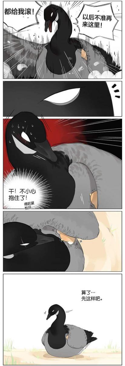 當北方的黑雁遇上南方的麻雀　「讓心融化的」超萌漫畫誕生！竟然因為鳥類心動了～