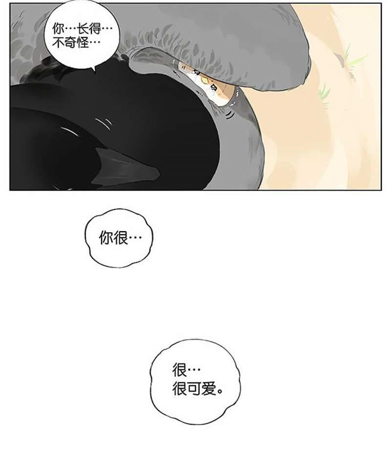 當北方的黑雁遇上南方的麻雀　「讓心融化的」超萌漫畫誕生！竟然因為鳥類心動了～