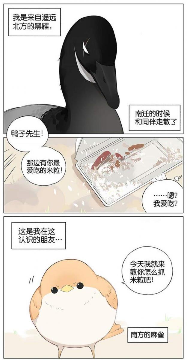 當北方的黑雁遇上南方的麻雀　「讓心融化的」超萌漫畫誕生！竟然因為鳥類心動了～