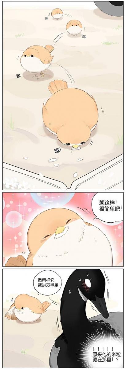 當北方的黑雁遇上南方的麻雀　「讓心融化的」超萌漫畫誕生！竟然因為鳥類心動了～