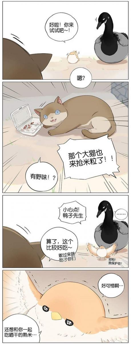 當北方的黑雁遇上南方的麻雀　「讓心融化的」超萌漫畫誕生！竟然因為鳥類心動了～