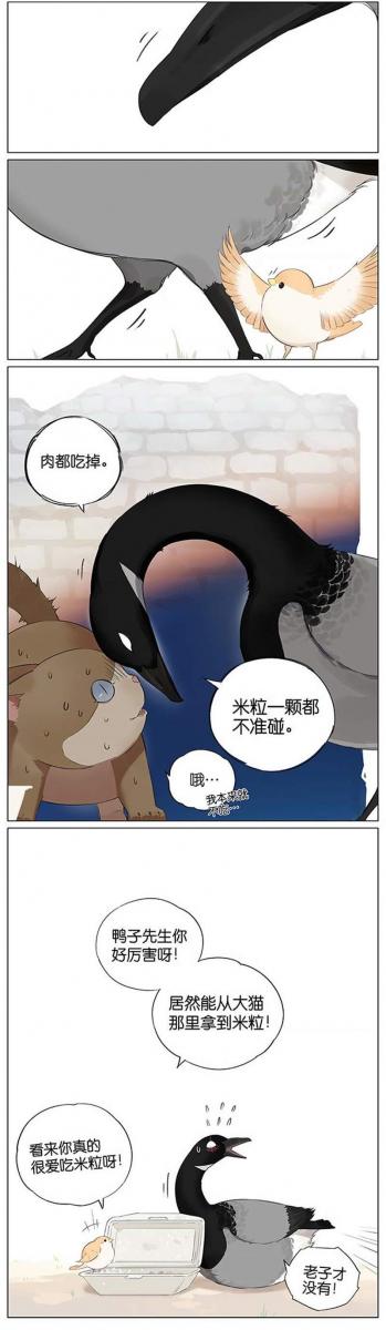 當北方的黑雁遇上南方的麻雀　「讓心融化的」超萌漫畫誕生！竟然因為鳥類心動了～