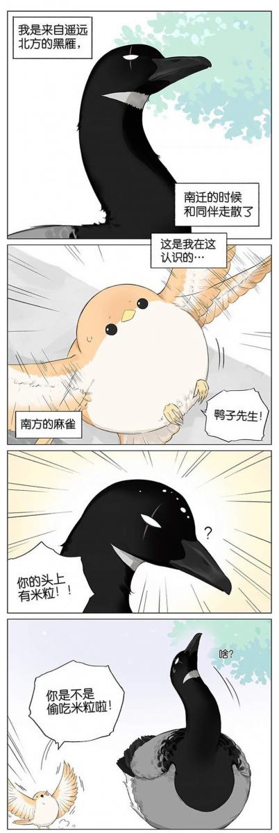 當北方的黑雁遇上南方的麻雀　「讓心融化的」超萌漫畫誕生！竟然因為鳥類心動了～