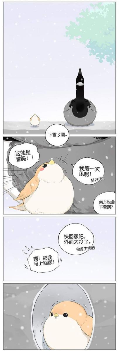 當北方的黑雁遇上南方的麻雀　「讓心融化的」超萌漫畫誕生！竟然因為鳥類心動了～