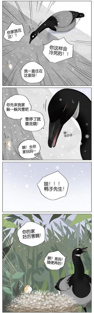 當北方的黑雁遇上南方的麻雀　「讓心融化的」超萌漫畫誕生！竟然因為鳥類心動了～