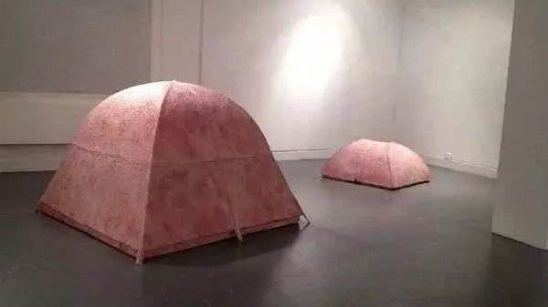 帳篷裡待一晚就「獎勵31萬」，很多人躍躍欲試，看到帳篷真面目，全都止步！