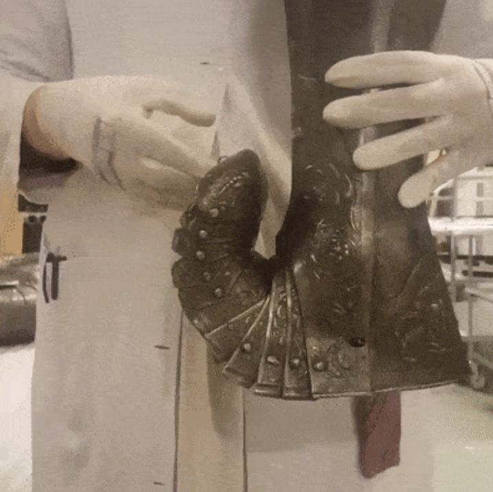 17個讓你感嘆「自己懂的還是太少了」生活驚奇　懷孕狗媽的X光照...絕對逼瘋密集恐懼症的人！