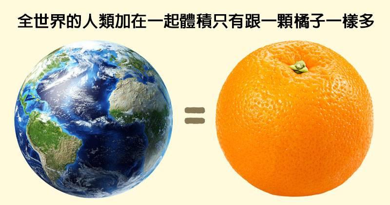 14個會讓你晚上睡不著的「最狂古怪真相」　孕婦肚子形狀能看出生男生女嗎？