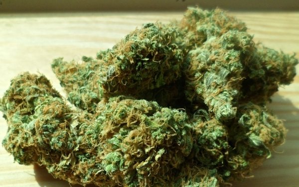 14種常見物質的「早一步上天堂份量」　狂灌咖啡不小心死.神就會找上門！