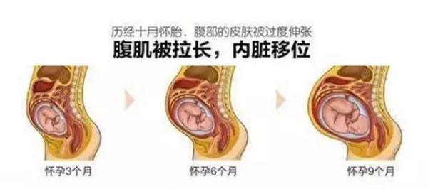 胎寶寶越來越大，媽媽的內臟都被擠到哪裡去了？看完趕緊抱抱老婆