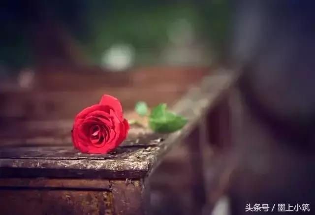 逼出來的堅強，扛出來的獨立！致自己