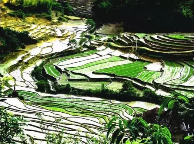 中國十大最美梯田，天堂里的時光天梯