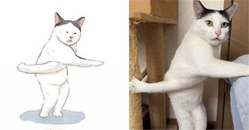 「謎之喵星人」才不是隨便畫！每張都「確有其貓」網看傻：大、大法師來啦～