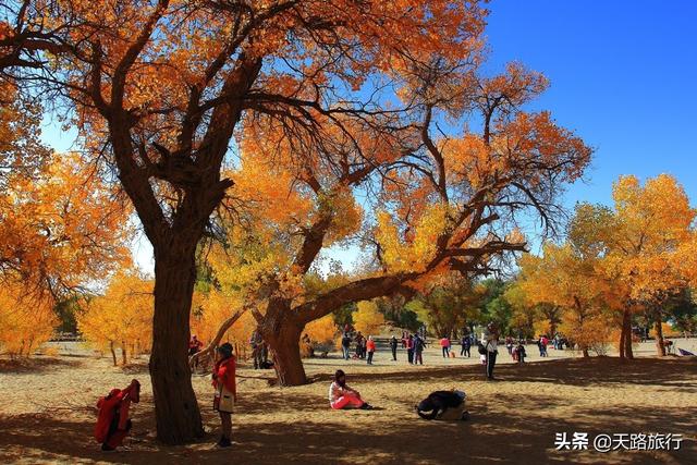 世界最美草原，到內蒙古旅遊去哪玩，這8個旅遊景點驢友強烈推薦