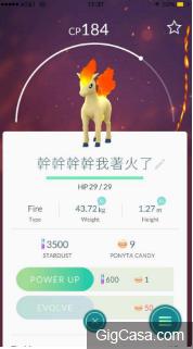 台灣人命名就是狂！12張沒看完就無法安心的照片，每隻寶可夢的命名都重創我幼小的心靈！！ 