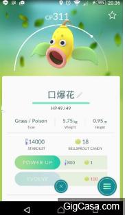台灣人命名就是狂！12張沒看完就無法安心的照片，每隻寶可夢的命名都重創我幼小的心靈！！ 