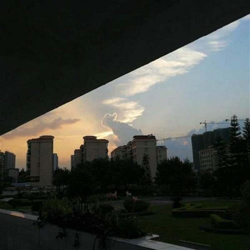 大考前望天發現好兆頭！　學生拍到「比讚雲」天象奇景 