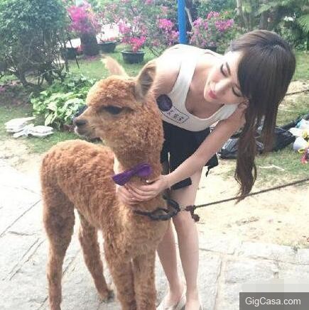 30張看第一張就把你給笑跪的內涵笑圖！ 