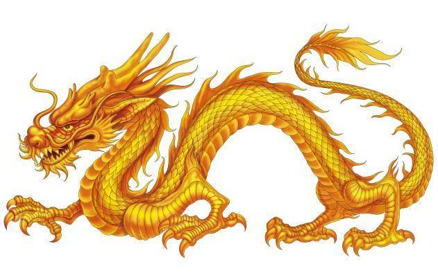 你不用追財， 財也自動送上門的四大生肖