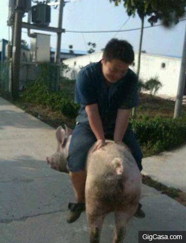 20張足夠讓你笑到飆淚的搞笑內涵圖~~~女神的亮點又暴露了