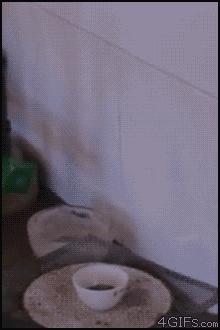 11張網友們超有創意的搞笑動圖！