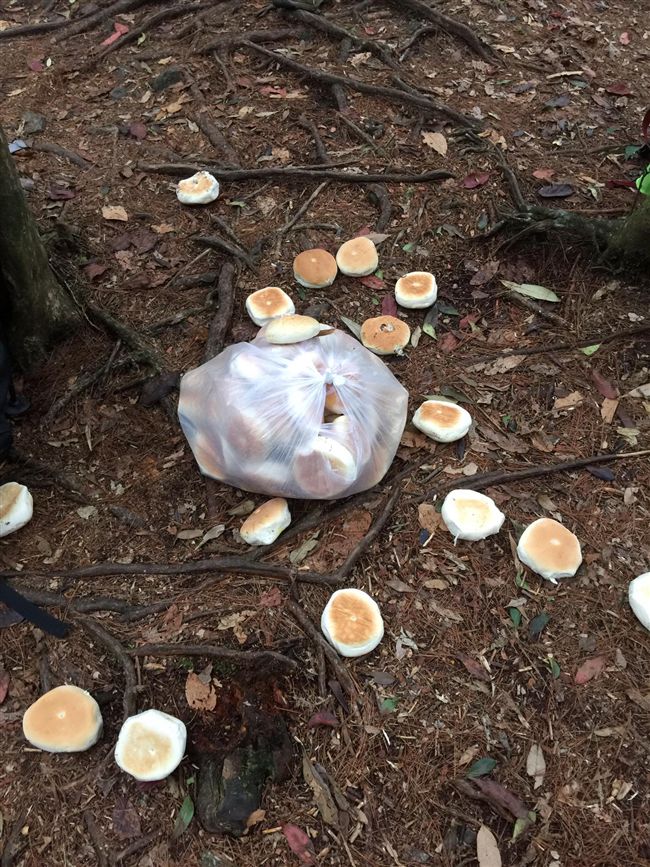 他勸阻登山客在地上看到這些「被丟棄的麵包」千萬不要撿！網友發毛：原來在這做儀式！