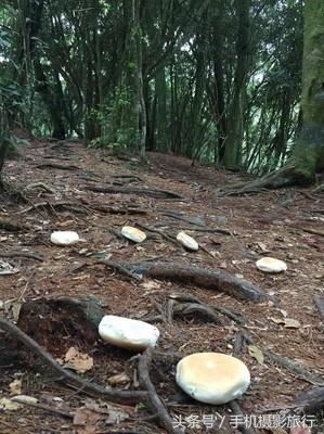他勸阻登山客在地上看到這些「被丟棄的麵包」千萬不要撿！網友發毛：原來在這做儀式！