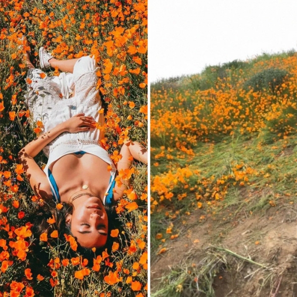 網美不想被你看到的真相！33張「IG VS 現實」對比照各種崩壞