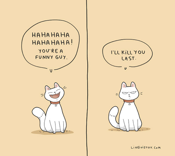 35張由超萌動物說出的超中肯語錄！