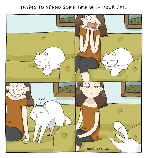 35張由超萌動物說出的超中肯語錄！