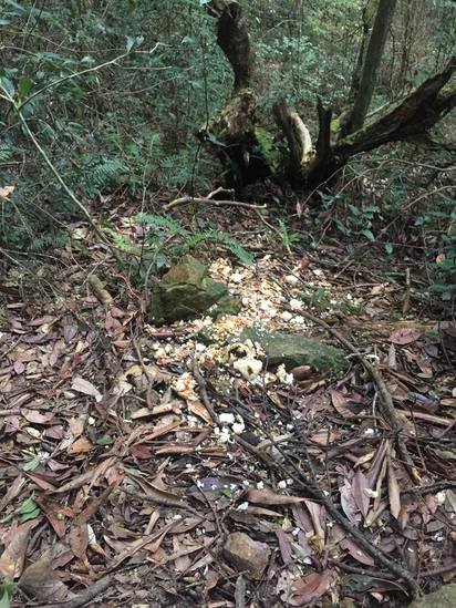 你在山上看過「被丟棄的麵包」嗎？ 神人解惑：千萬不要撿！ 網友發毛：原來是這樣...
